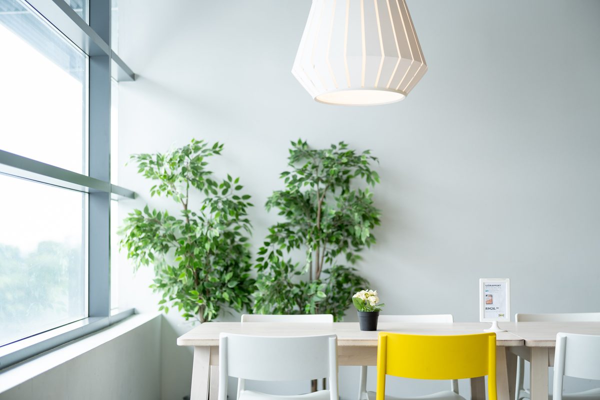 植物と白い椅子のある、明るいカフェの店内